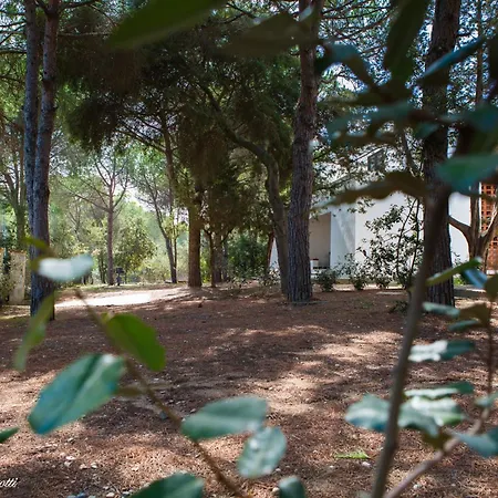 Le Bianche - 80 M Dal Mare * אורוסיי